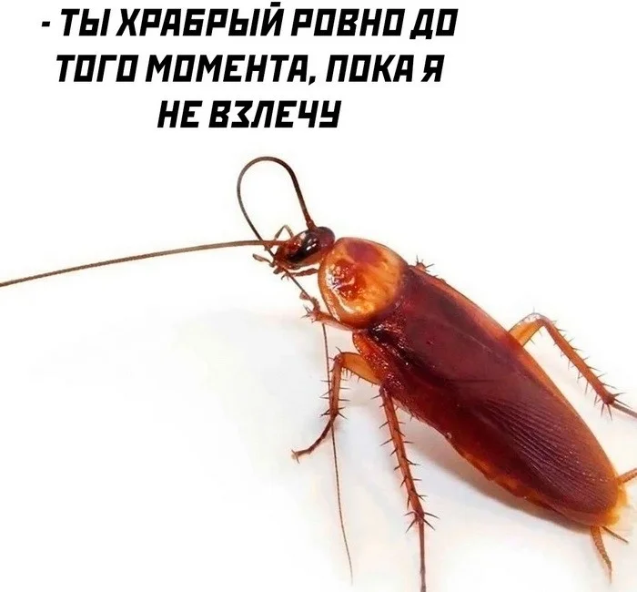 Скрины из соцсетей