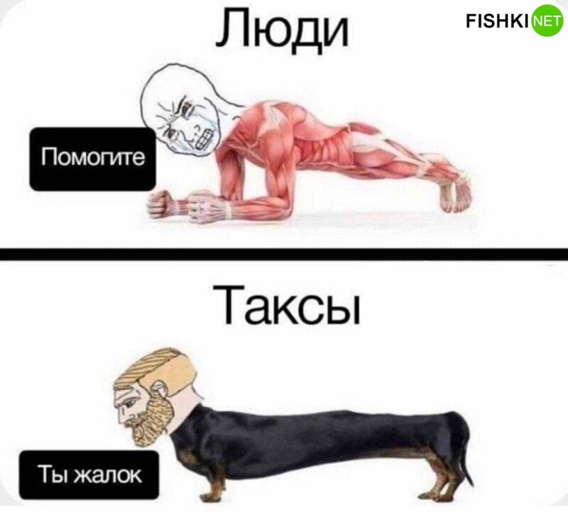 Зачем людям вообще стоять в планке?