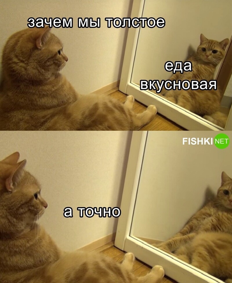 Котовое...