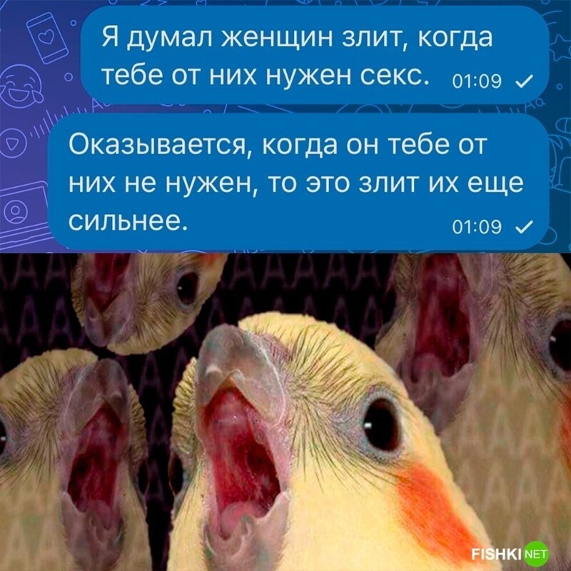 Они, видимо, изначально злые