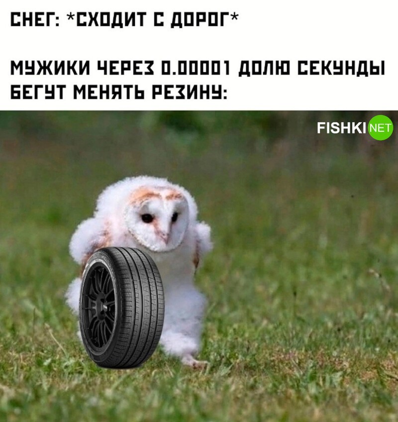 Бегом, бегом, бегом!