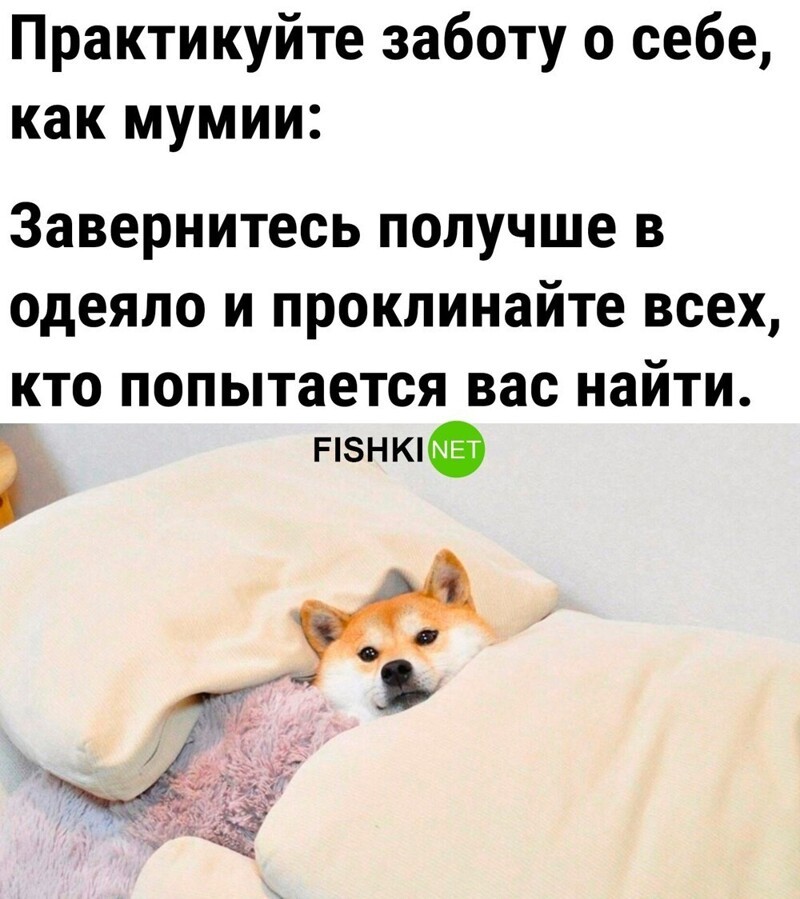 Мумии умели отдыхать