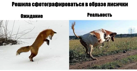 Баяны