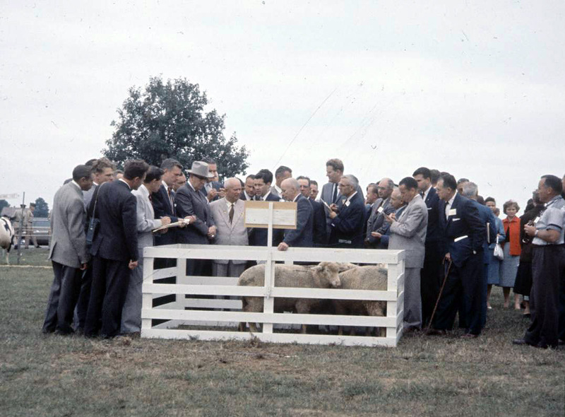 Фотография: Как это было: визит Хрущева в Америку в 1959 году №11 - BigPicture.ru