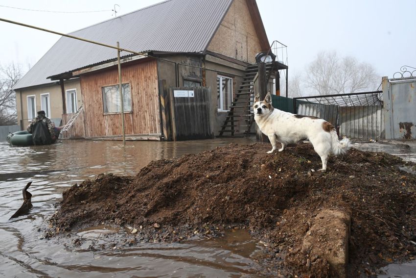 Оренбург