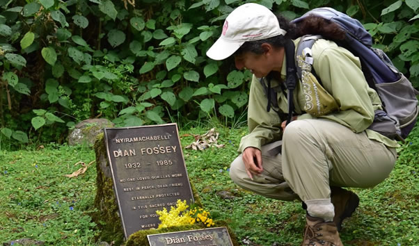 Bigpicture.ru Могила Дайан Фосси dian fossey