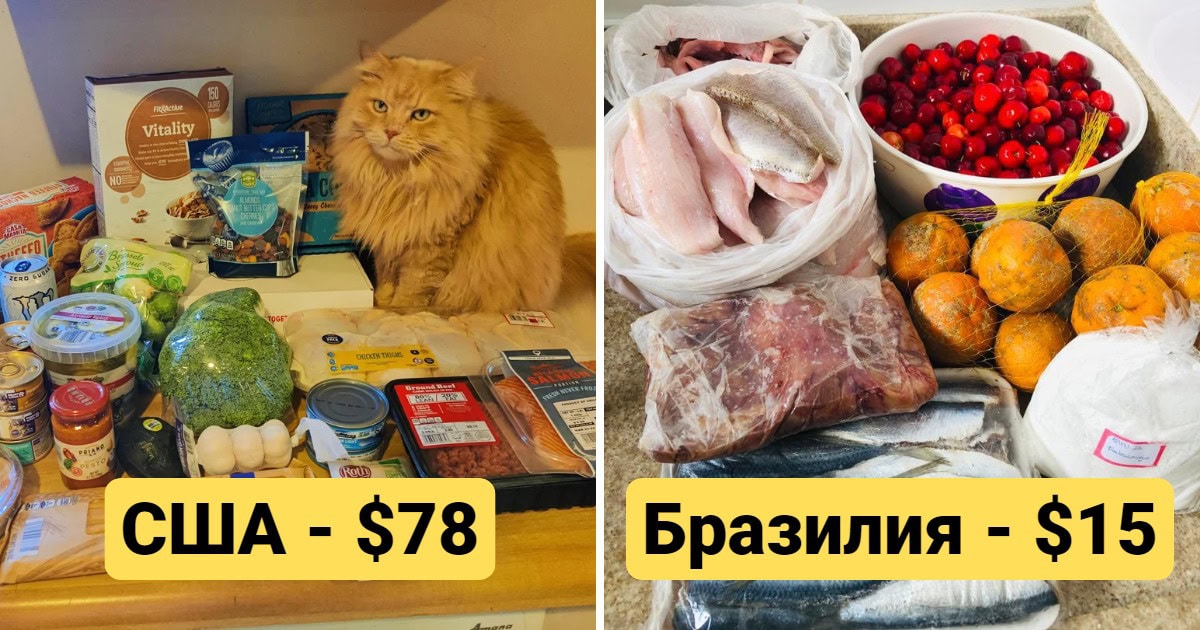 Жители 15 стран показали, сколько стоят продукты там, где они живут