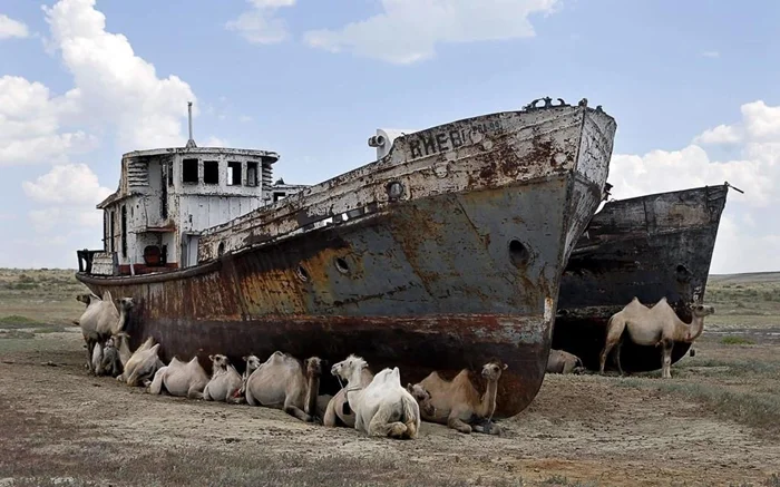 Аральское море возрождается: Почему стали чаще говорить о возвращении воды и что там происходит?