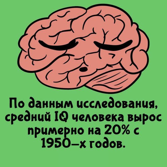 Интересные факты на все случаи жизни