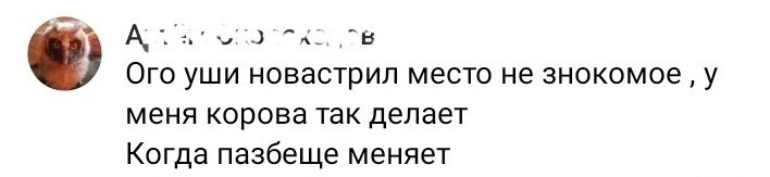 12. Почти что-то матершинное