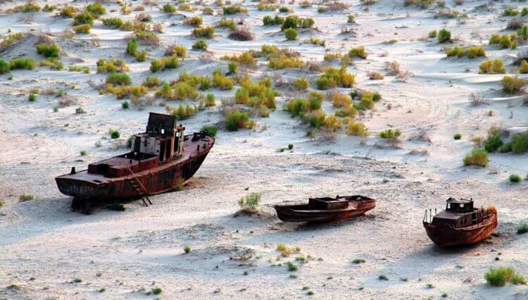 Последствия исчезновения Аральского моря. Исчезнувшее Аральское море наносит вред окружающей среде. Источник изображения: musorniy.ru. Фото.